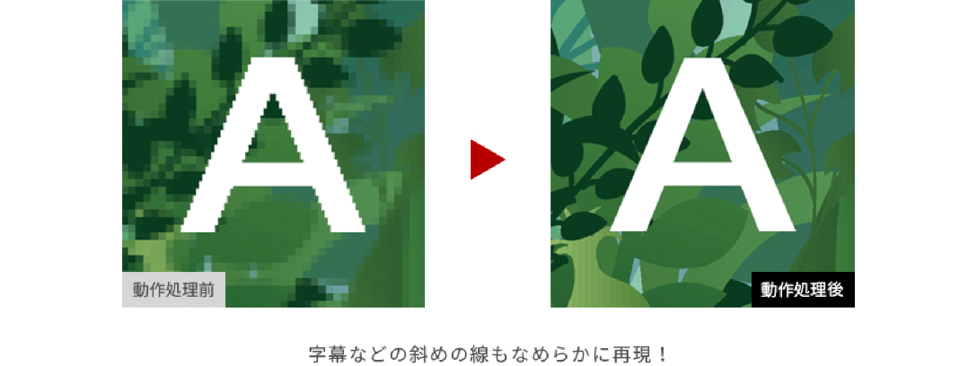 quality-26