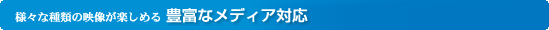 �l�X�Ȏ�ނ̉f�����y���߂�L�x�ȃ��f�B�A�Ή�