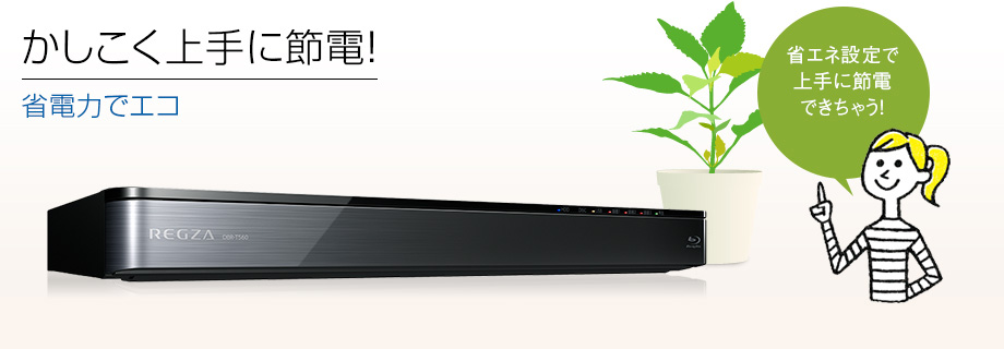 かしこく上手に節電！ | 省電力でエコ