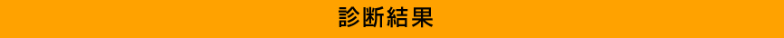 診断結果