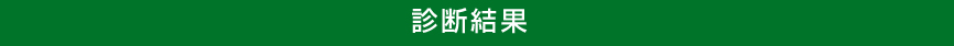 診断結果