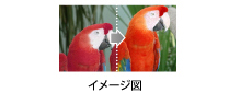 x.v.Colorイメージ