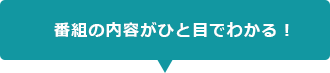 番組の内容がひと目でわかる!
