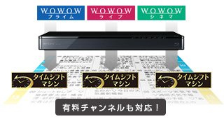 「BS・110度CSデジタル放送対応」イメージ