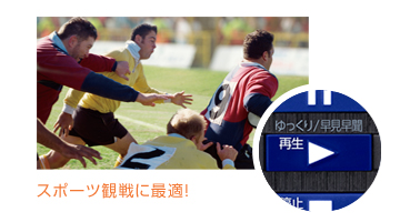 「早見早聞」イメージ