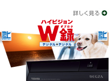 詳しく見る