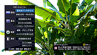 GUI