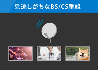 みんなが見ている番組は見逃さない！