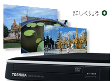 詳しく見る
