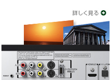 詳しく見る