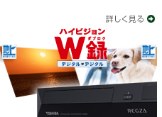W録イメージ