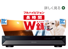 詳しく見る