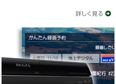 詳しく見る