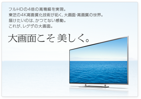 大画面こそ美しくフルHDの4倍の高精細を実現。東芝の4K高画質化技術が拓く、大画面・高画質の世界。届けたいのは、かつてない感動。これが、レグザの大画面。