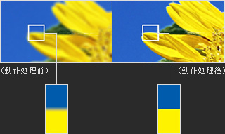 写真:色超解像技術比較イメージ