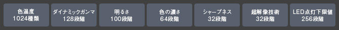 図:さまざまな画質調整項目をきめ細かくコントロール