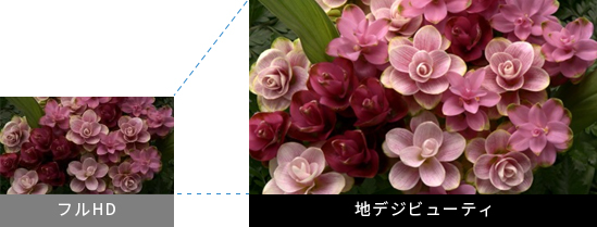 「地デジビューティ」 イメージ