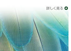 「3D超解像技術採用 -レゾリューションプラス5-」の機能を詳しく見る