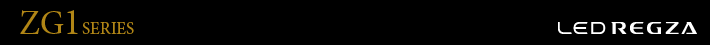 ZG1 SERIES - LED REGZA