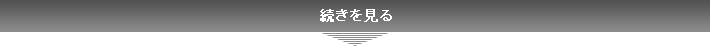 続きを見る