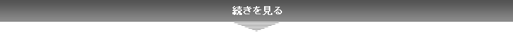 続きを見る