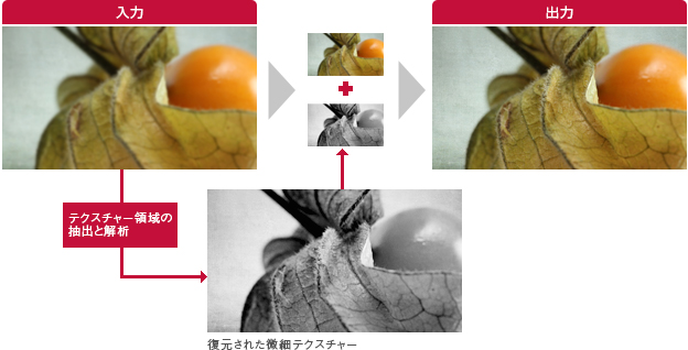 「微細テクスチャー復元」イメージ