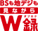 「BSも地デジも見ながらW録*5」アイコン