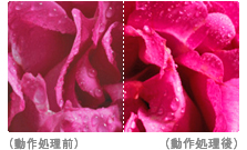 「”x.v.Color“」イメージ