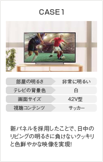 CASE1 イメージ