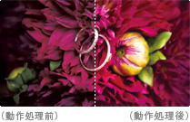 “x.v.Color”対応