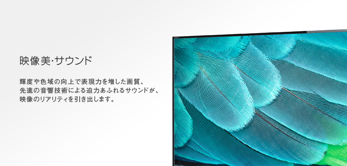 映像美・サウンド -- 輝度や色域の向上で表現力を増した画質、先進の音響技術による迫力あふれるサウンドが、映像のリアリティを引き出します。