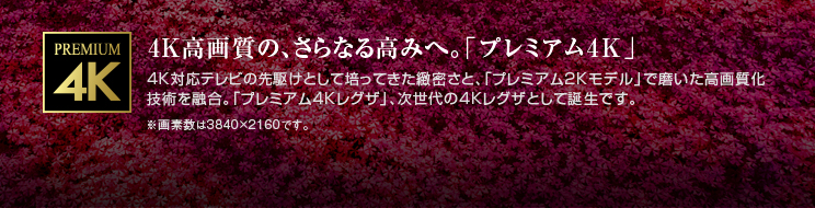 4K高画質の、さらなる高みへ。「プレミアム4K」