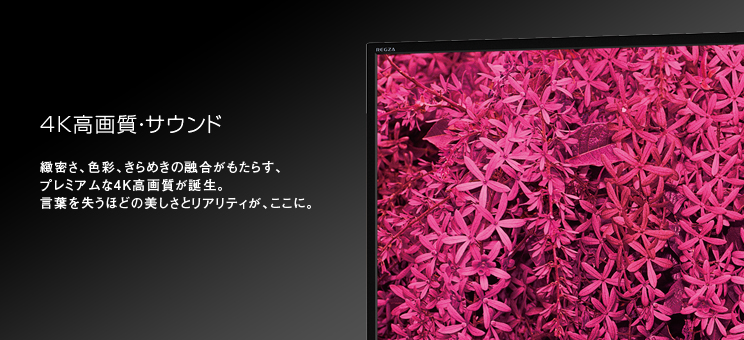 緻密さ、色彩、きらめきの融合がもたらす、プレミアムな4K高画質が誕生。言葉を失うほどの美しさとリアリティが、ここに。