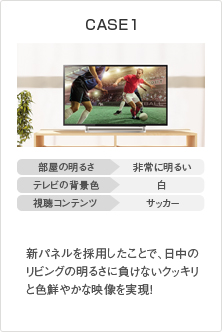 CASE1 イメージ