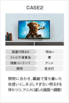 CASE2 イメージ