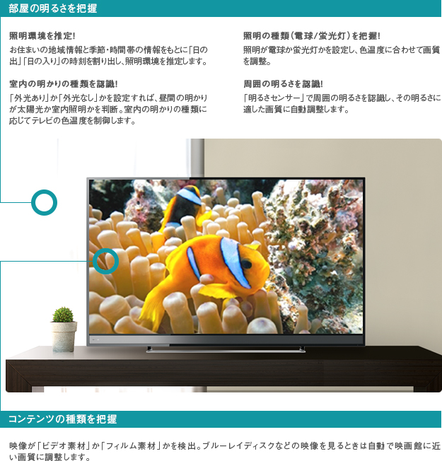 「おまかせオートピクチャー」 : イメージ
