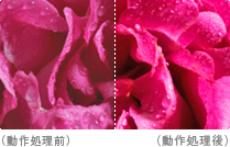 「“x.v.Color”対応」 : イメージ