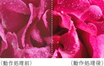 「“x.v.Color”対応」 イメージ