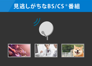 みんなが見ている番組は見逃さない！