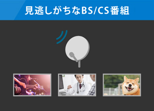 みんなが見ている番組は見逃さない！