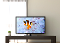 「日中の明るいお部屋でもメリハリのある映像に」: イメージ