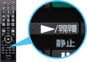早見早聞