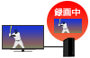 手軽に録画を楽しみたい！