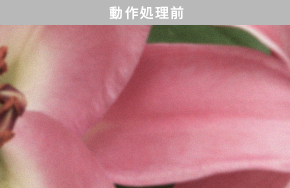 「細部まで質感を豊かに再現（動作処理前）」 : イメージ