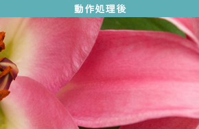 「細部まで質感を豊かに再現（動作処理後）」 : イメージ