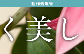 「文字周りのノイズを低減してクッキリと表示（動作処理後）」 : イメージ
