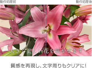 マスターリファイン
