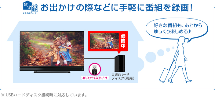 「シングルチューナー留守録」 イメージ