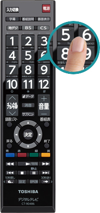 「シンプルレグザリモコン（ラージフォント）」 イメージ