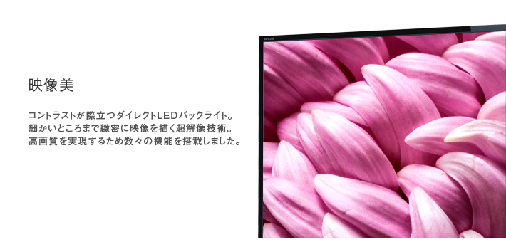 映像美 -- コントラストが際立つダイレクトＬＥＤバックライト。細かいところまで緻密に映像を描く超解像技術。高画質を実現するため数々の機能を搭載しました。